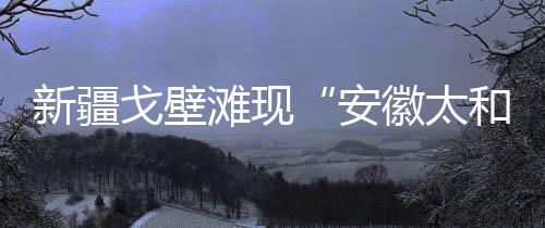 辣椒都是新疆从老家运过来的