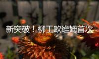 新突破
！柳工欧维姆首次牵头修订国际标准ISO14655