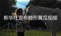 新华社发布畸形黄瓜视频爆火，戳破了当下教育最大的真相