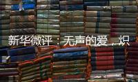 新华微评：无声的爱，炽热的中国心
