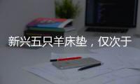 新兴五只羊床垫�，仅次于五星级的睡眠体验!