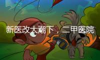 新医改大潮下，二甲医院如何夹缝求生？