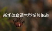 新旭体育透气型塑胶跑道施工
，材料价格是多少钱一平方