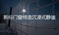 快排公司十年历程，霸屏兔 seo 的崛起与坚守