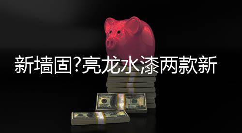 高性能的新墙界面处理材料