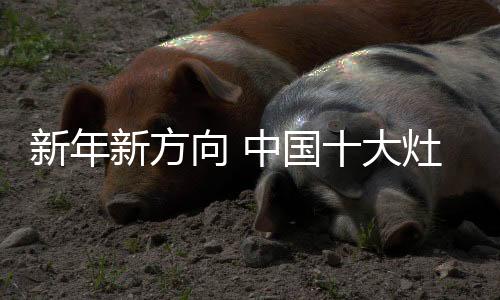 国大广缺乏创造力和个性