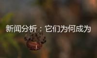 新闻分析：它们为何成为2020年度全国十大考古新发现？
