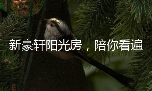 即便是遍最繁杂多变的天气下