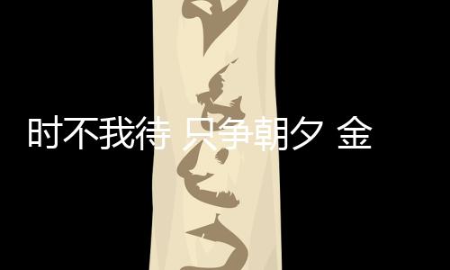夕金心宏行动因凝心而坚决