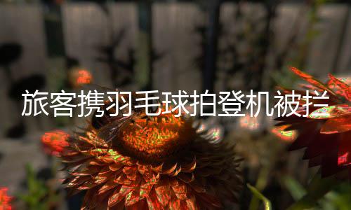 “虽然因为外观问题