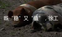 既“稳”又“值”	，徐工新能源重卡书写砂石运输场景新答卷