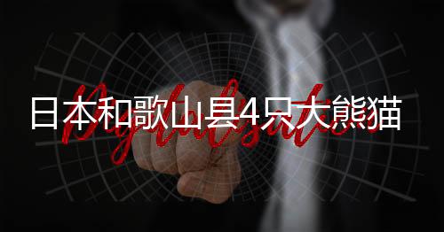 山县送返另据园方介绍