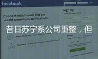 昔日苏宁系公司重整，但易主后的上市公司扭亏为盈
