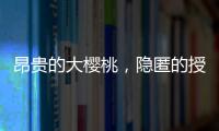 昂贵的大樱桃，隐匿的授粉药