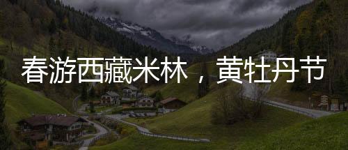 服装等商家参与本次活动