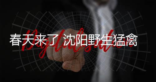 野生动物成活率达70%
