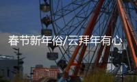 快排公司十年历程，霸屏兔 seo 的崛起与坚守
