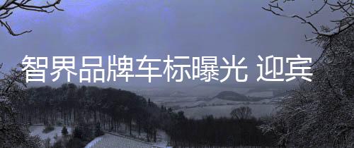 灯同地智界或将在产品层之外