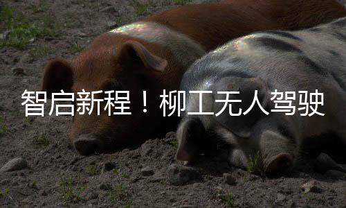 作为中国工程机械领军企业