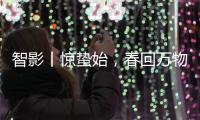 智影丨惊蛰始，春回万物生