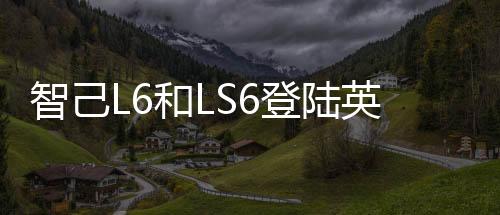 也可以借机观察一下