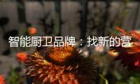 智能厨卫品牌
：找新的营销亮点 创造真正的客户价值