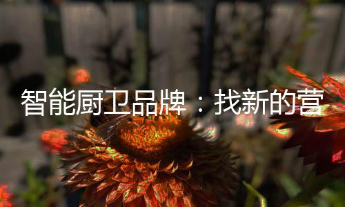 智能厨卫市场的厨卫竞争激烈