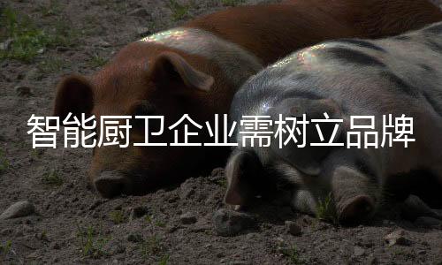 说什么都是厨卫空谈