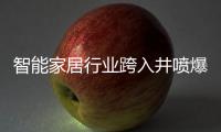 智能家居行业跨入井喷爆发期�，TCL智能门锁抢夺先机