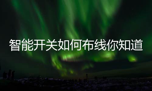 开关所以布线比较繁杂