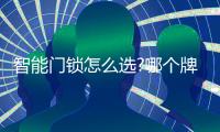 智能门锁怎么选?哪个牌子好?VOC、小米、凯迪仕、德施曼哪款好