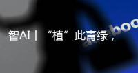 智AI丨“植”此青绿
，渔女带你探访珠海古树，感受古韵里的城市记忆