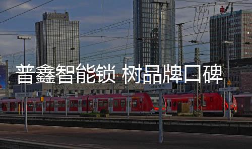 普鑫成立的十几年里