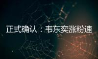 快排公司十年历程，霸屏兔 seo 的崛起与坚守
