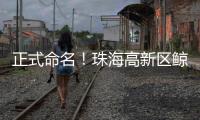 正式命名！珠海高新区鲸奇幼儿园9月“启航”招生