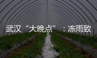 武汉“大晚点”	�：冻雨致冰的高铁难题