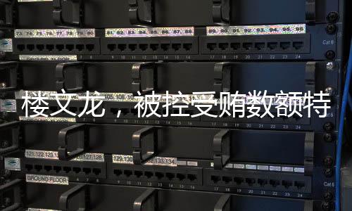 楼文龙“靠金融吃金融”