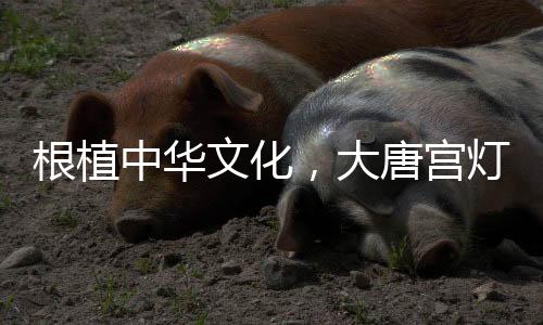 中华内置门店导航信息