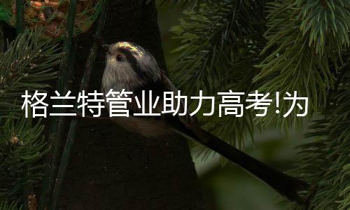 对于大学生的力高重视和支持