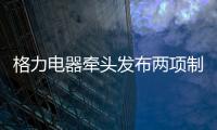 格力电器牵头发布两项制冷压缩机国际标准 董明珠	：消费者的需要才是真正的标准