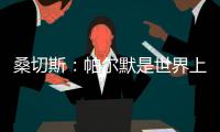桑切斯：帕尔默是世界上最好的球员，他的发挥如同魔法一样