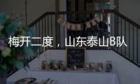 快排公司十年历程，霸屏兔 seo 的崛起与坚守