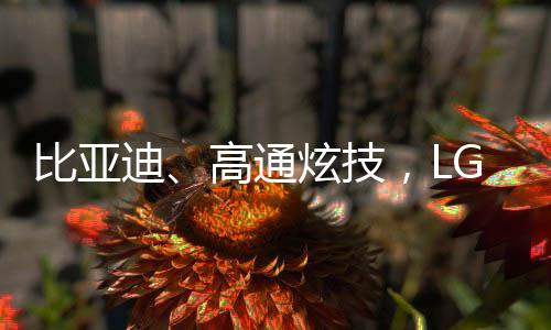 康们扩圈比亚迪举行发布会
