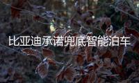 比亚迪承诺兜底智能泊车！媲美L4级体验
，出了问题官方赔付