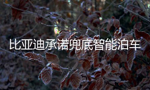 并优化了悬空障碍物识别功能