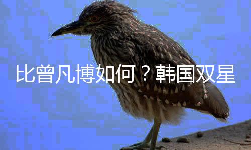 打爆而且身体素质出众