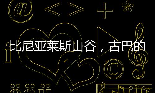 亚莱一旦信用卡不行