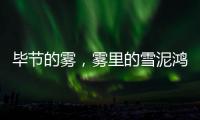 毕节的雾，雾里的雪泥鸿爪丨记者手记