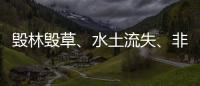 毁林毁草
、水土流失
、非法采矿……中央生态环保督察集中通报3省区典型案例