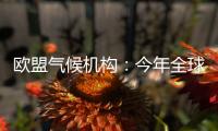 欧盟气候机构：今年全球气温经历有记录以来第二热的5月